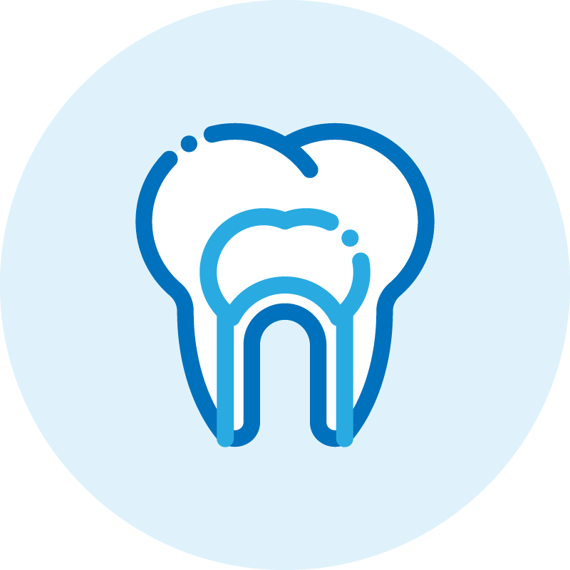 Biradicular endodontic icon